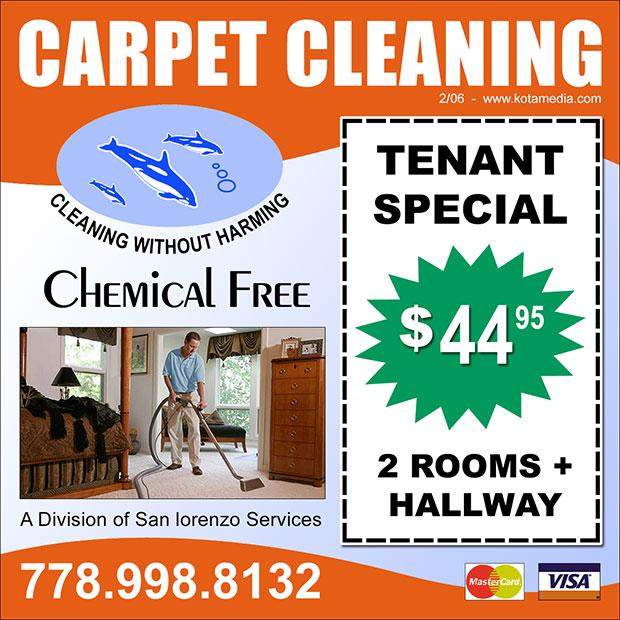 Carpet Cleaning Ad